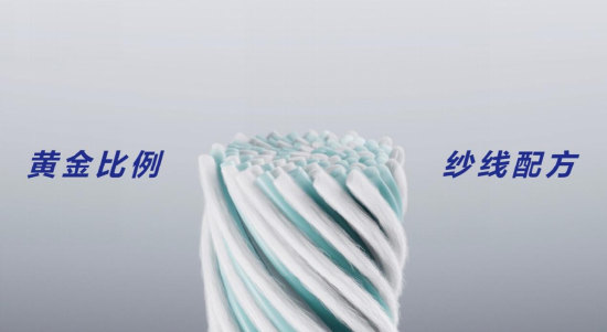 “利耐丝”微观结构示意图