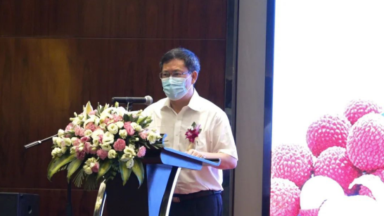 中共广西钦州市委副书记高朴