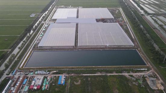 农业创意园俯视图 项目方供图
