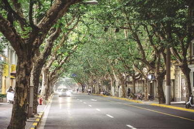 ◆复兴中路有海派上海最好的诠释。在浪漫的法国梧桐下的欧式建筑里,有弄堂小店,老上海排骨年糕店,绕三圈也找不着门的小书店……