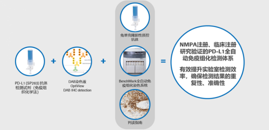 PD-L1 （SP263）获批伴随诊断涉及整个检测体系