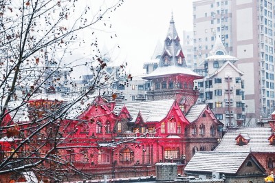 昨日市区郊外处处都是美景 大雪让上海美成了