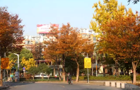 正阳中央公园