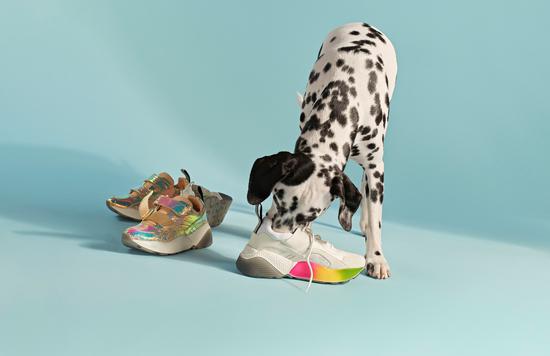 上海芮欧百货狗年臻品摄影展神秘来袭