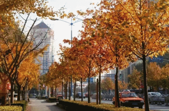 南亭公路