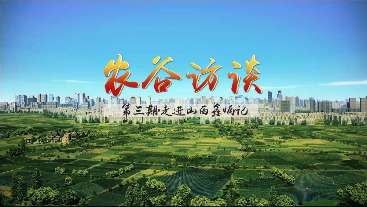 农谷访谈第三期:走进山西鑫炳记