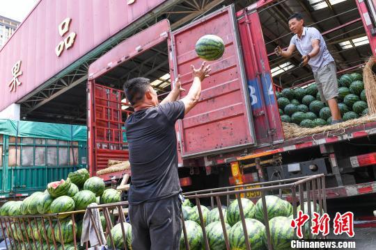 商販忙著搬運銷售西瓜。 武俊杰 攝