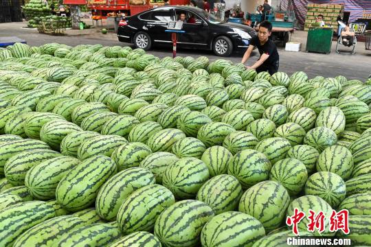 解暑水果西瓜迎來銷售高峰。 武俊杰 攝