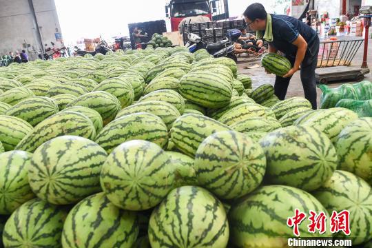 西瓜作為解暑降溫必備水果頗受人們歡迎。 武俊杰 攝