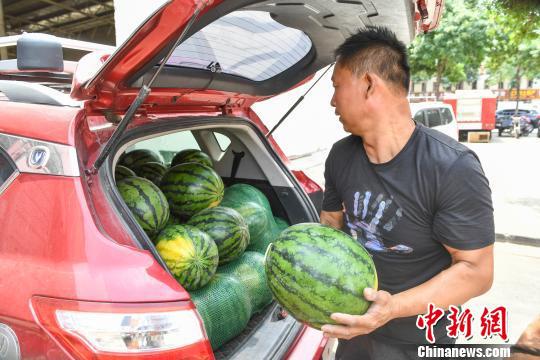 顧客將西瓜裝滿小車后備箱。 武俊杰 攝