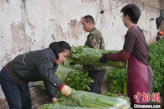晋源区蔬菜大棚。 晋源区新闻中心供图