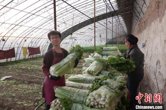 目前,晋源区大棚蔬菜的播种育苗、温室果树的剪枝、花卉的组培、水稻的育苗正在按照农时稳步有序开展。 晋源区新闻中心供图