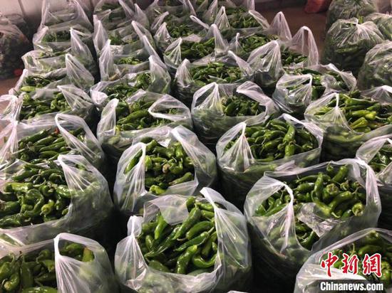 资料图:长子青椒。 李庭耀 摄