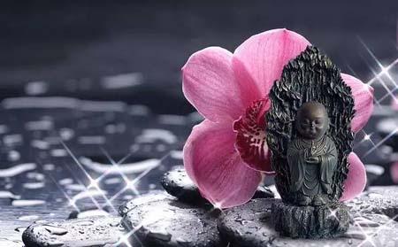 吃素能清净八识田