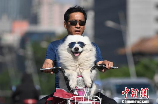 山西今年高温日数为历史同期最多。图为资料图。 武俊杰 摄 山西今年高温日数为历史同期最多。图为资料图。 武俊杰 摄
