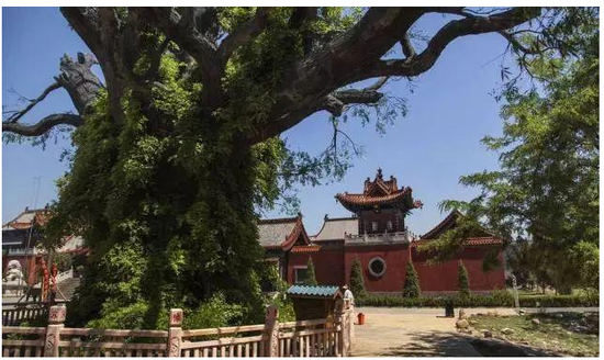 洪洞县是中华民族古老文明的发祥地之一