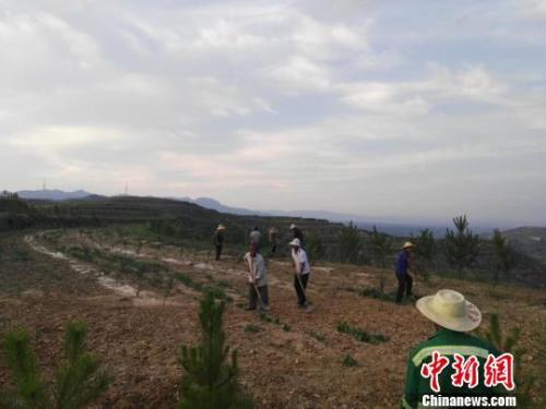 资料图:农民正在锄地。李新锁 摄