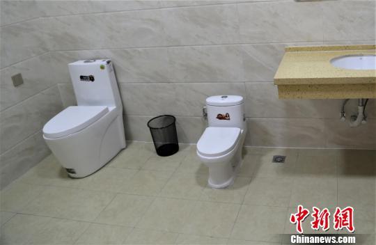 第三卫生间分别设置有大、小坐便器,可供大人和幼童使用,还配备有婴儿护理台等设施。