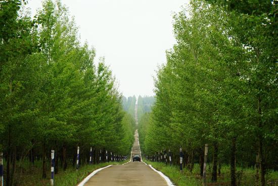 南山森林公园