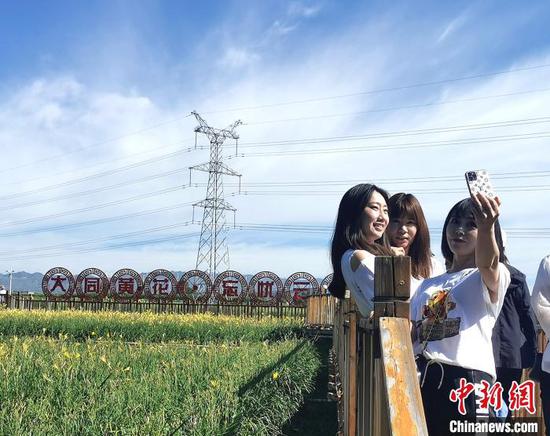 “大同黄花”和杨旗的种植基地也成了“网红打卡地”。 杨杰英 摄