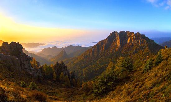 芦芽山风光