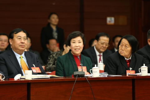 郭凤莲答记者问(新华网 王亮 摄)