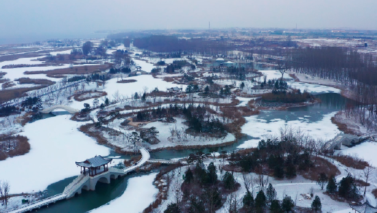 公园里的“亭台楼阁”在雪后愈发古朴。新华网 发