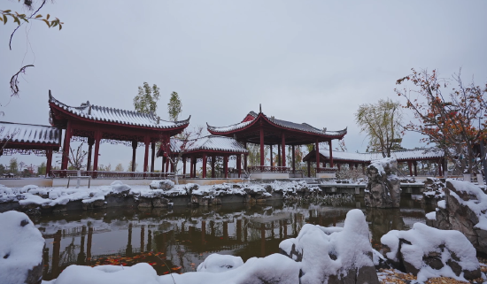 漳泽湖湿地公园银装素裹。新华网 发