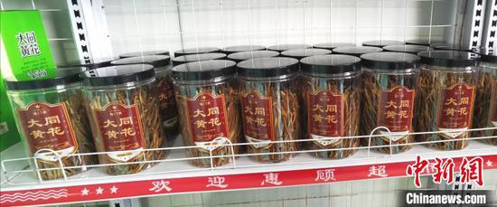 “大同黄花”。 杨杰英 摄