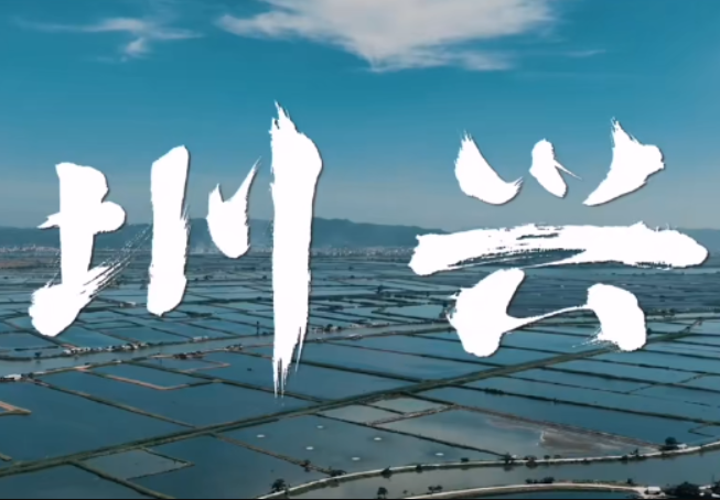 圳兴