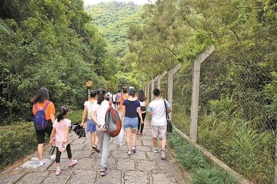 ▲每到周末,不少深圳市民会来到梅林水库周边的绿道上走路跑步。 深圳晚报见习记者 杨少昆 摄