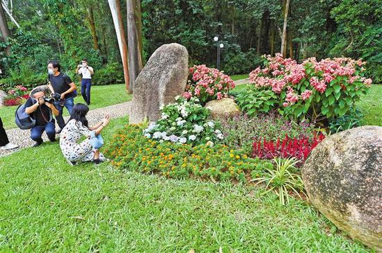 市民莲花山赏花。 深圳商报记者 韩墨 摄