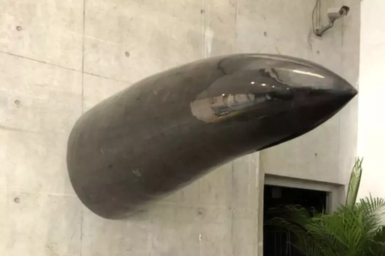 　　庞海龙，《大物》，长220cm，直径80cm，牛骨综合材料，雕塑装置，2017