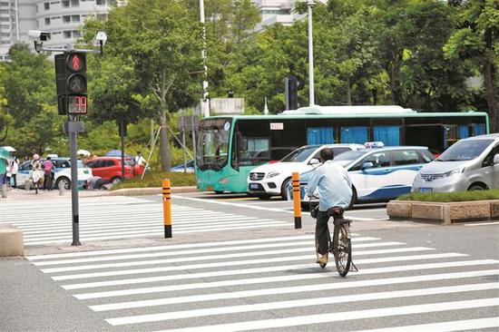 ▲市民骑自行车闯红灯的行为时有发生。 深圳市交警局 供图