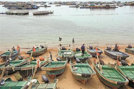 5月1日，大量渔船被拖上岸并固定在岸边。当天12时，为期108天的南海伏季休渔启动。深圳晚报记者 陈玉 摄