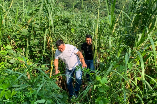 重点项目指挥部工作人员上山勘察(实地考察)