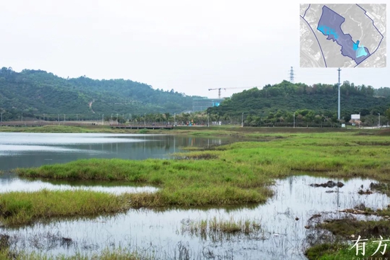 △ 楼村水塘现状   Current Condition of Loucun Pond