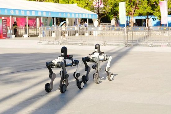 机器狗巡逻。图源：深圳市体育中心