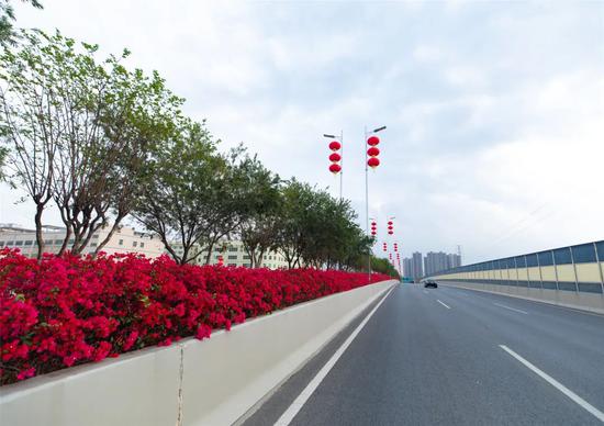 △龙澜大道“红飘带”