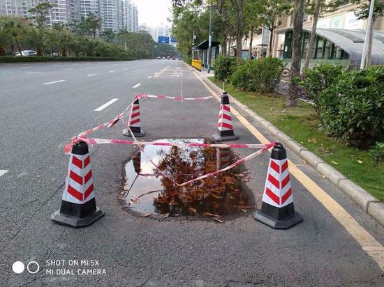 打开网易新闻 查看更多精彩图片