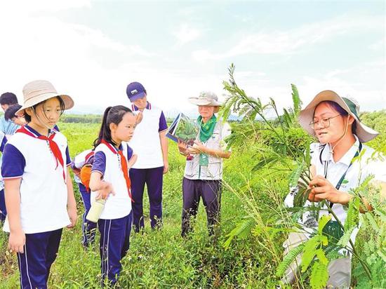  ▲导览员为小学生讲解外来植物。深圳晚报记者 陈龙辉 摄