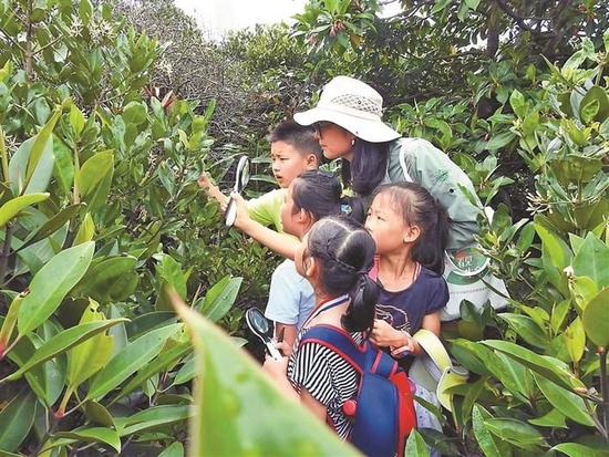 孩子们在华侨城国家湿地公园参观