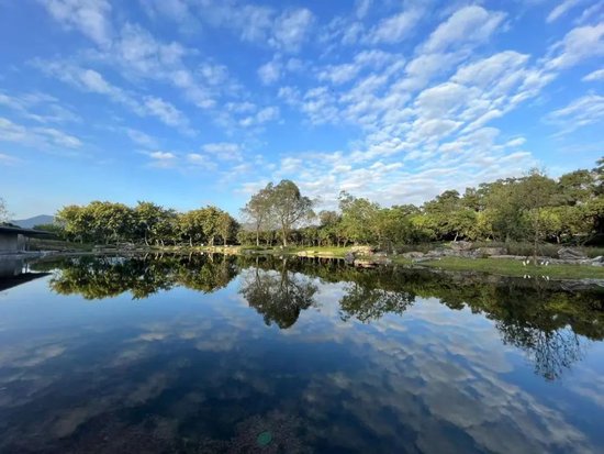 环西丽湖绿道(碧道)精心雕琢“一环九景”。图源:项目建设单位
