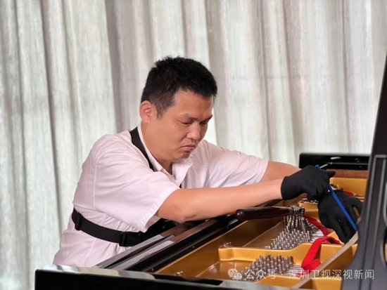 (图源 / 深视新闻记者 何王子彧 摄)