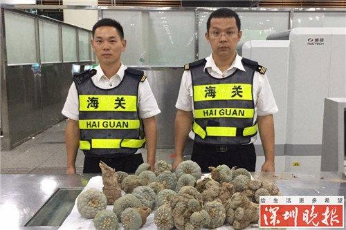 糊涂女子只为 150 元带有毒植物过关