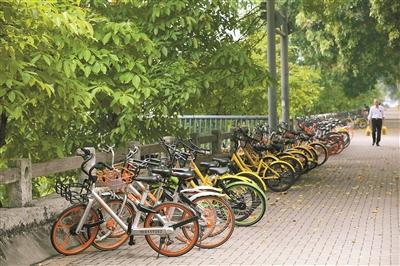 在深圳的大街小巷,能看到各种品牌的共享单车。 深圳晚报记者陆颖 摄
