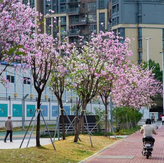 △沿河路文澜苑旁