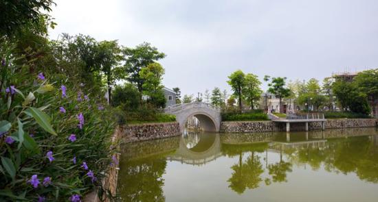 ▲新桥村对清代永兴桥进行保护。