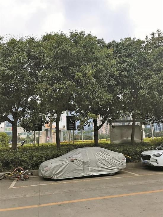 ▲“宜停车”泊位上,一辆私家车防风罩积满了灰尘。深圳晚报记者 董玉含 实习生 蔡文韬 摄