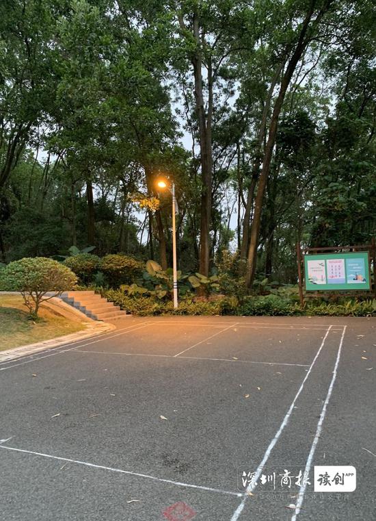  市民蒋先生约1个月前拍摄的清晨5点30分左右的公园，天色已亮，路灯已启。